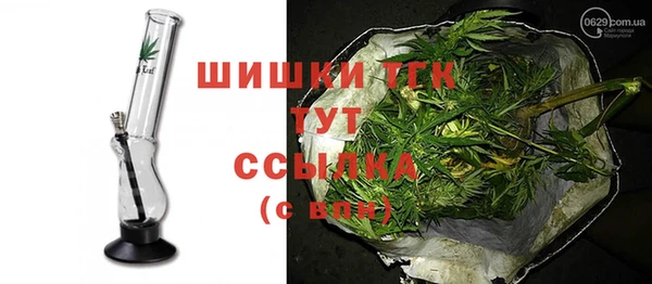 индика Бородино