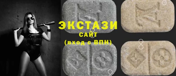 индика Бородино