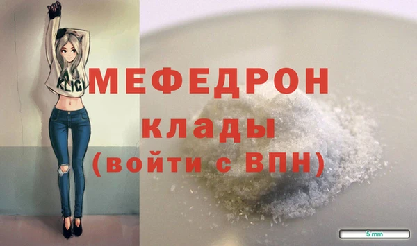 индика Бородино