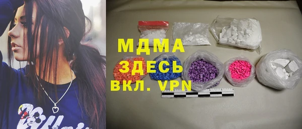 индика Бородино