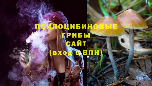 гидра Бронницы