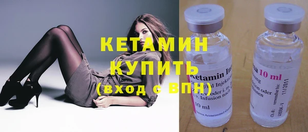 индика Бородино