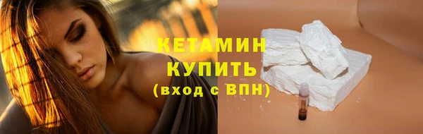 индика Бородино
