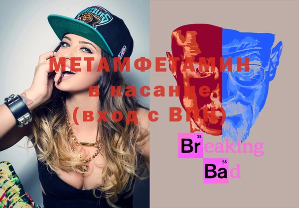 индика Бородино