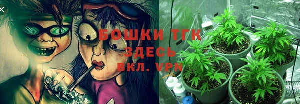индика Бородино