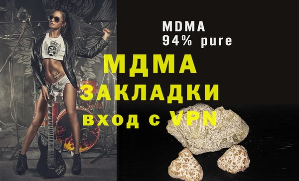 индика Бородино