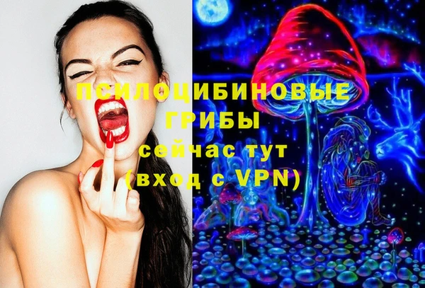 индика Бородино