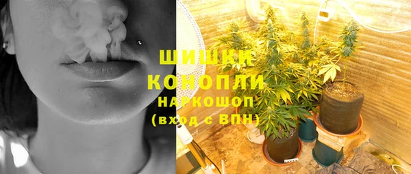 гидра Бронницы