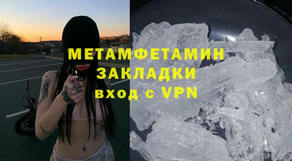 индика Бородино
