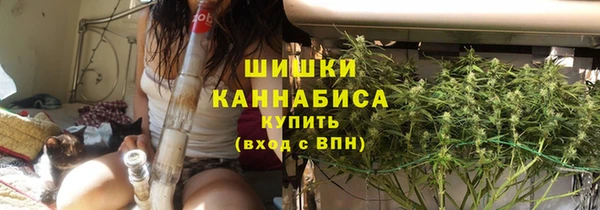 индика Бородино
