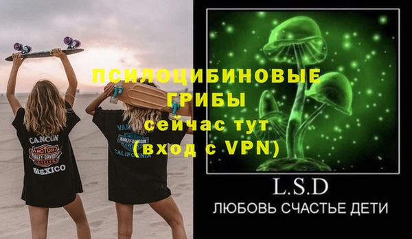 индика Бородино
