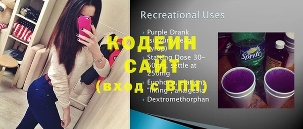 индика Бородино