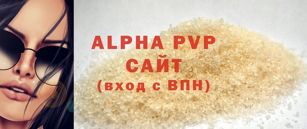индика Бородино